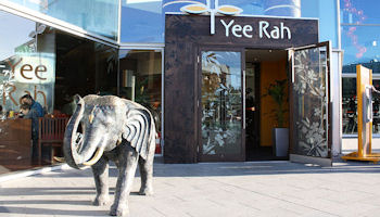 Yee Rah - Liverpool One